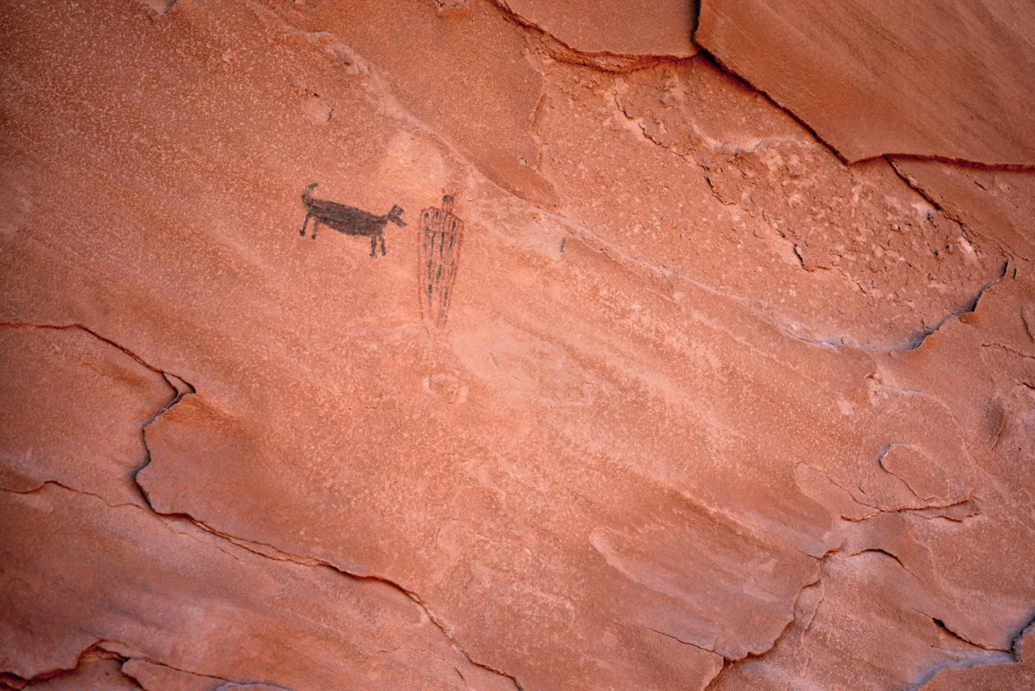 A photograph of a petroglyph somewhere in Arizona