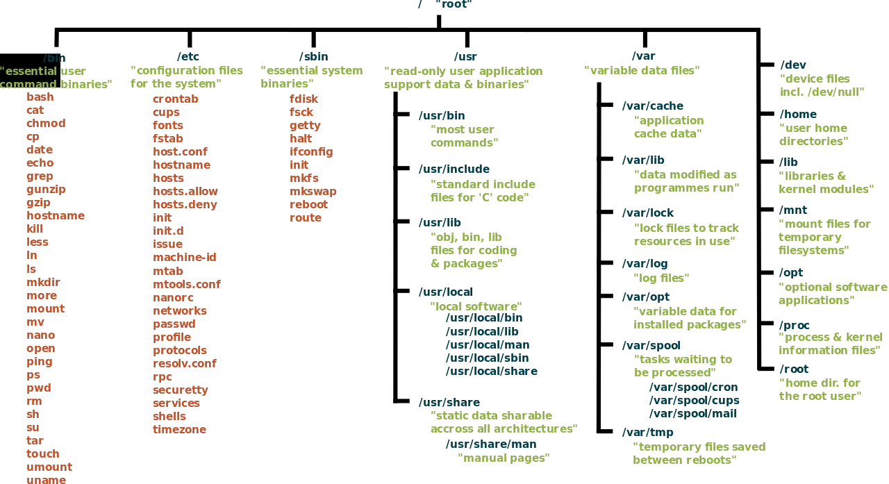 A tree diagram depicting the core unix filesystem/directory layout